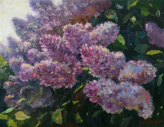 Sunny Lilacs - Lilacs painting