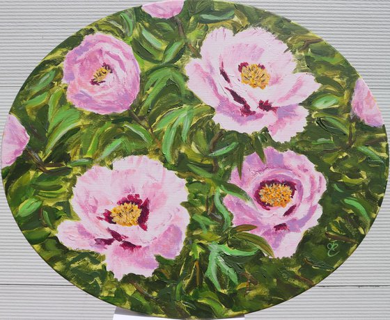 Cora Louise Peonies, 64*53