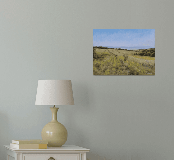 Meadow in Rabbit Slopes