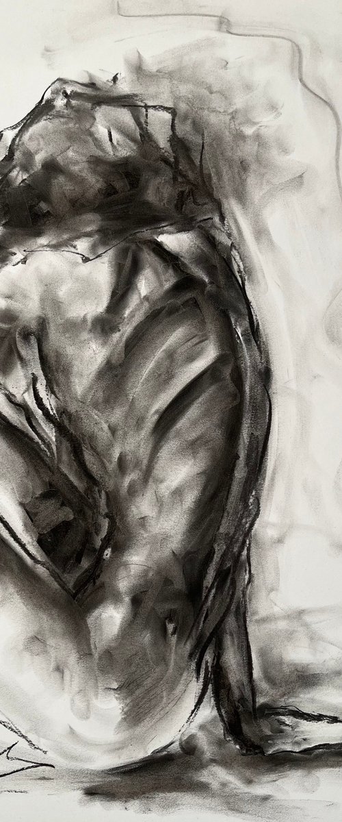 Joy by James Shipton