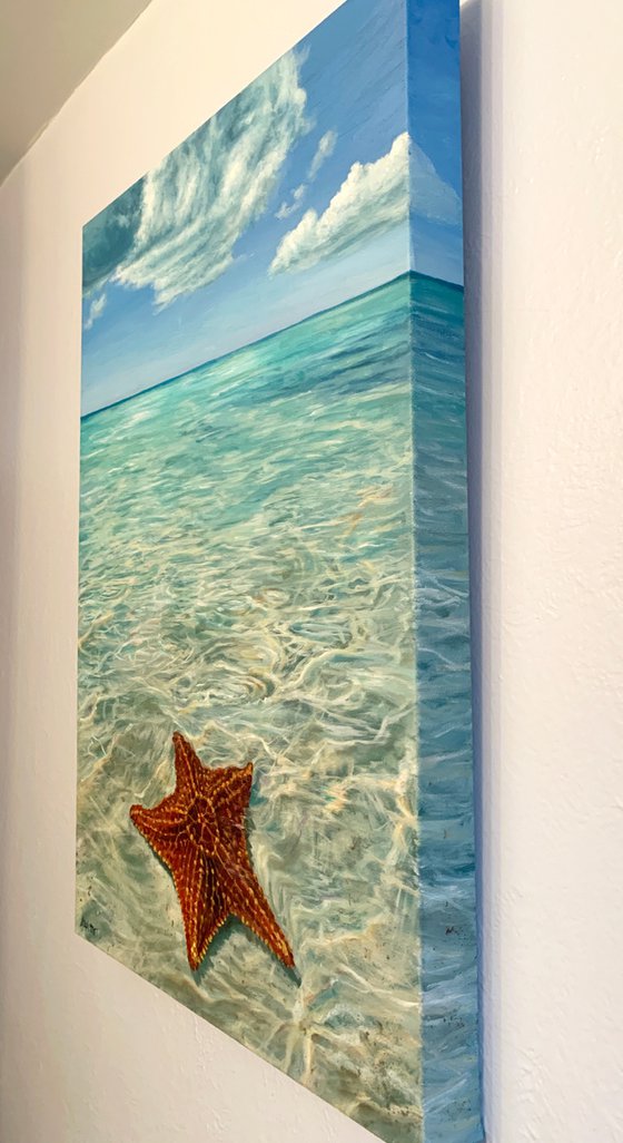 Starfish Point