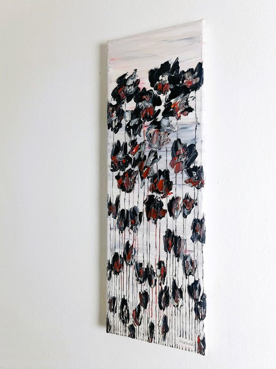 Black Poppies 2