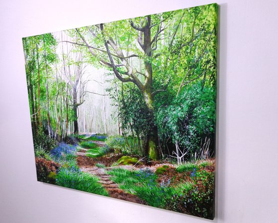 Forest Ways and Bluebell Days