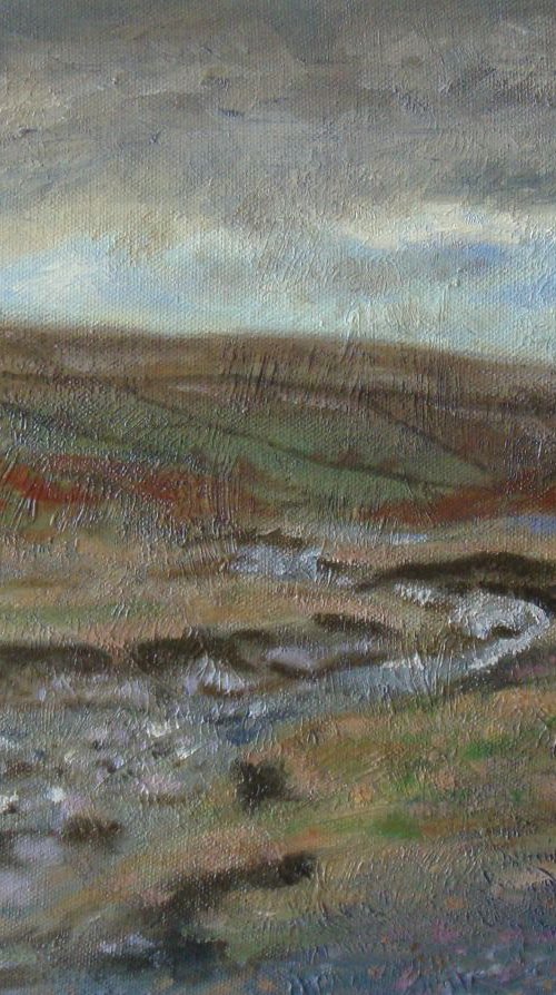 Teesdale moors 2 by Michael Mullen