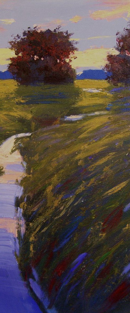 creek in a meadow by Sergey  Kachin