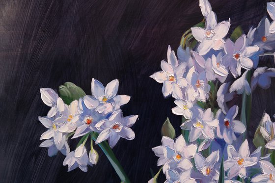 "Still life with white daffodils"