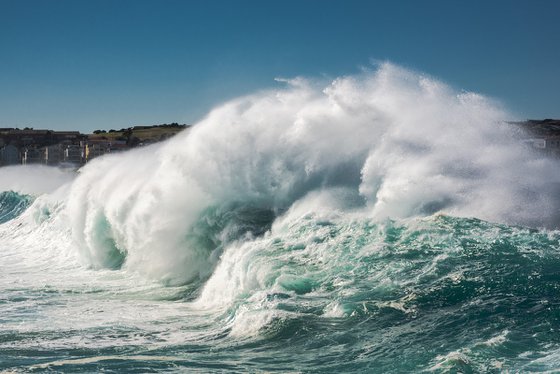 Bondi Rush