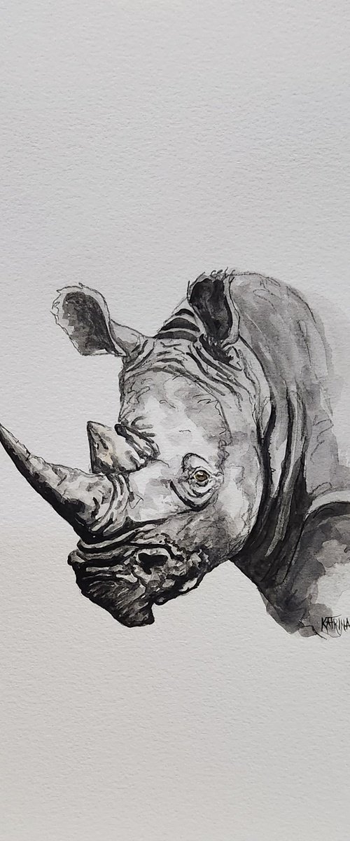 Black Rhino by Katrina Case