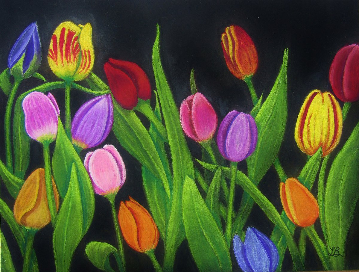 Tulips on Black by Linda Burnett