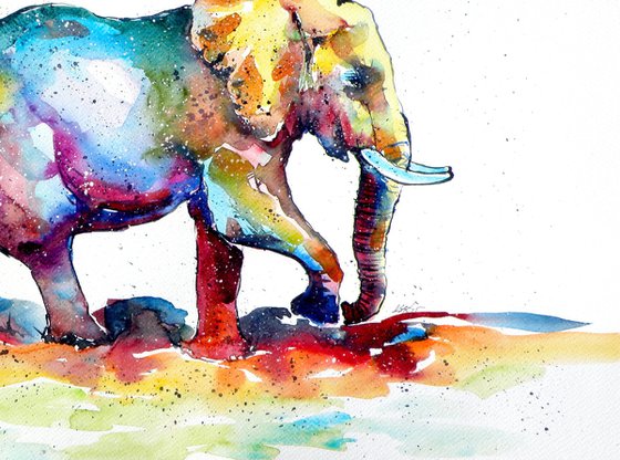 Colorful elephant V.