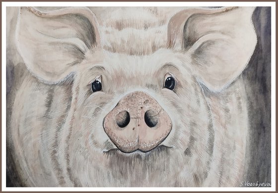 Piglet grew up... Watercolor painting on paper. Original artwork by Svetlana Vorobyeva