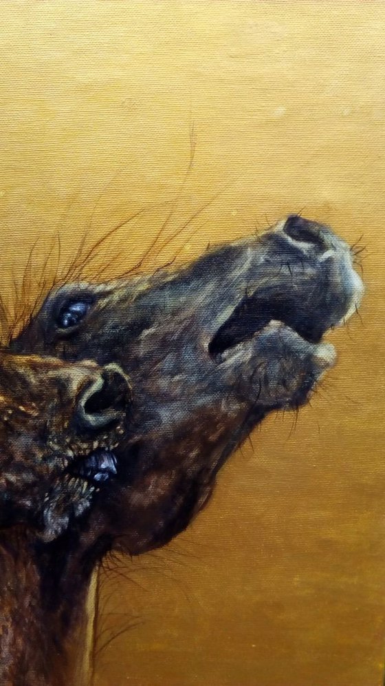 Painting from the series called HUMALS - horsefighting - varnished