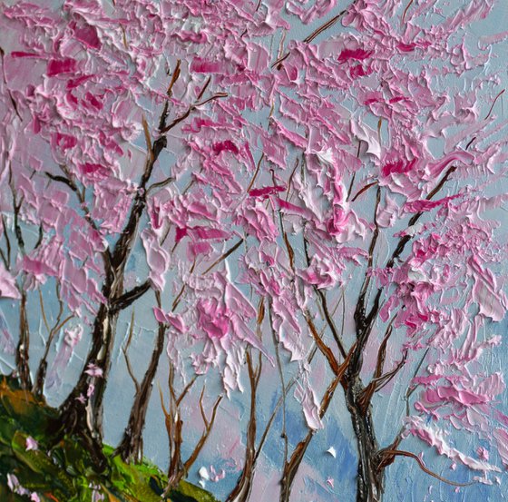 The Hill of Blooming Dreams