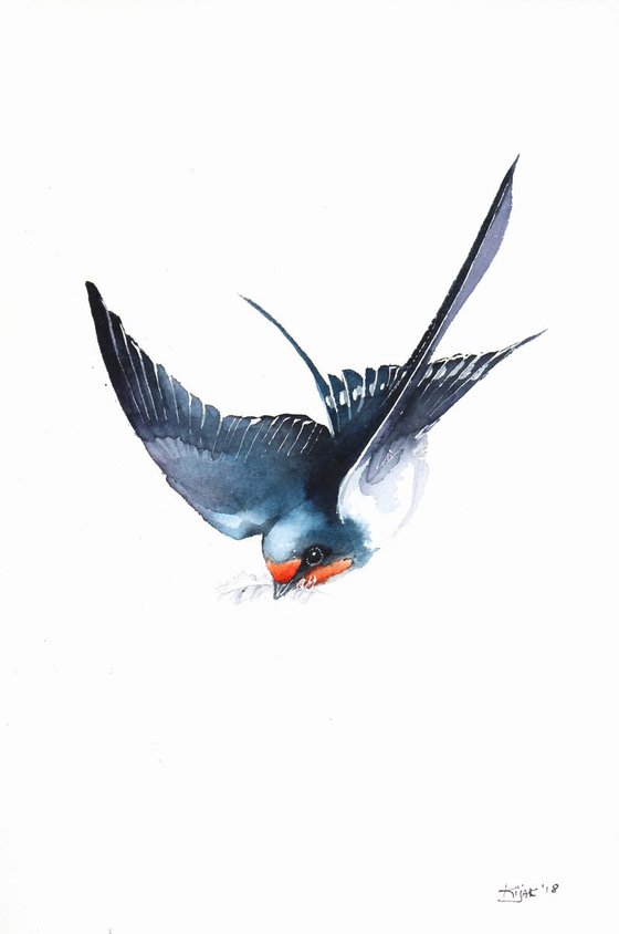 Flying Barn Swallow, 20x30cm, watercolour painting