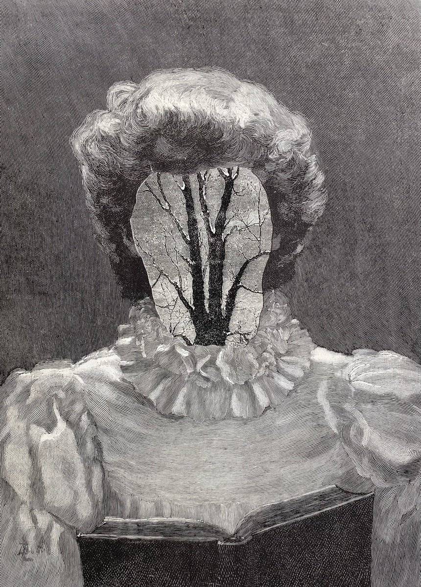 Surrealistic Portrait Collage By Tudor Evans, 6 X 9", Winter Trees At Christmas, Original Artwork