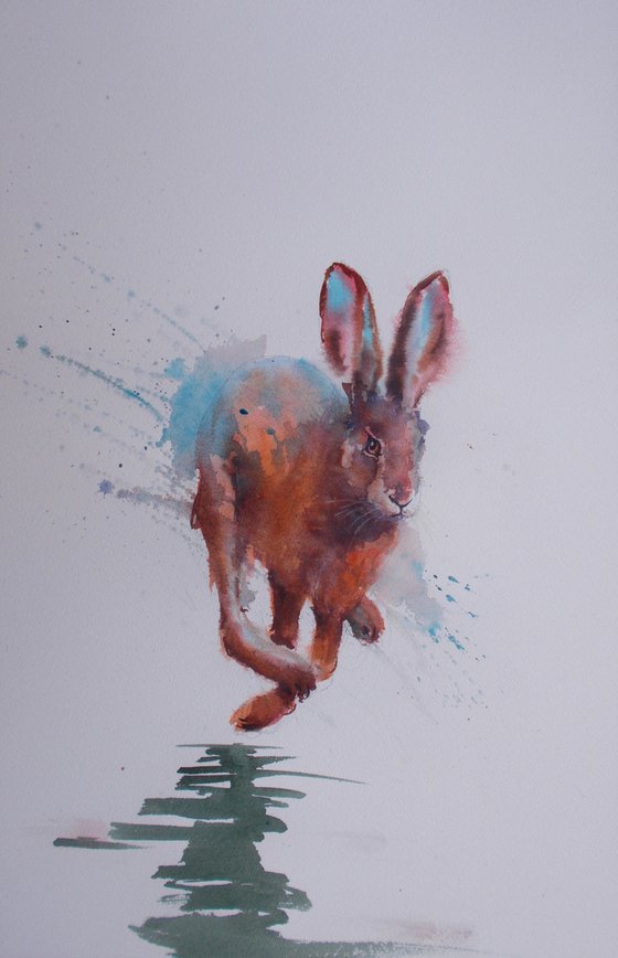 hare 8