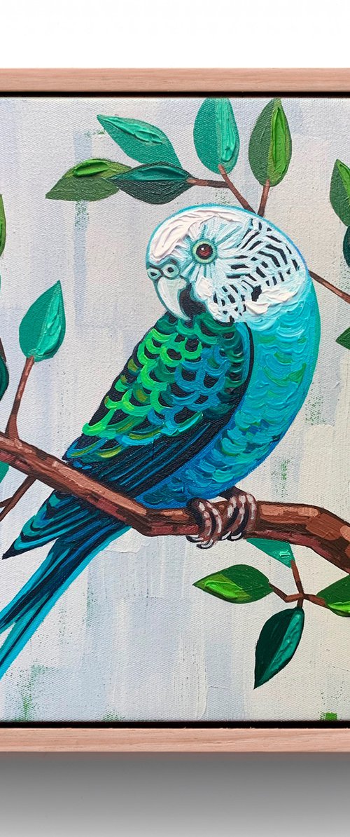 Budgie Beauties: Bubbles by JULIE LYNCH