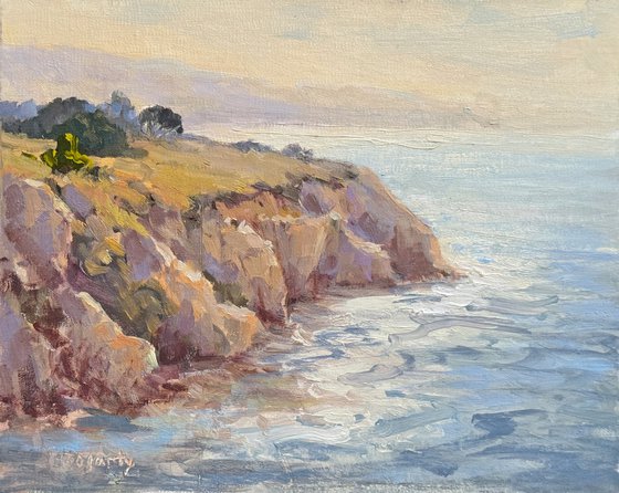 Coastal View From the Bluffs