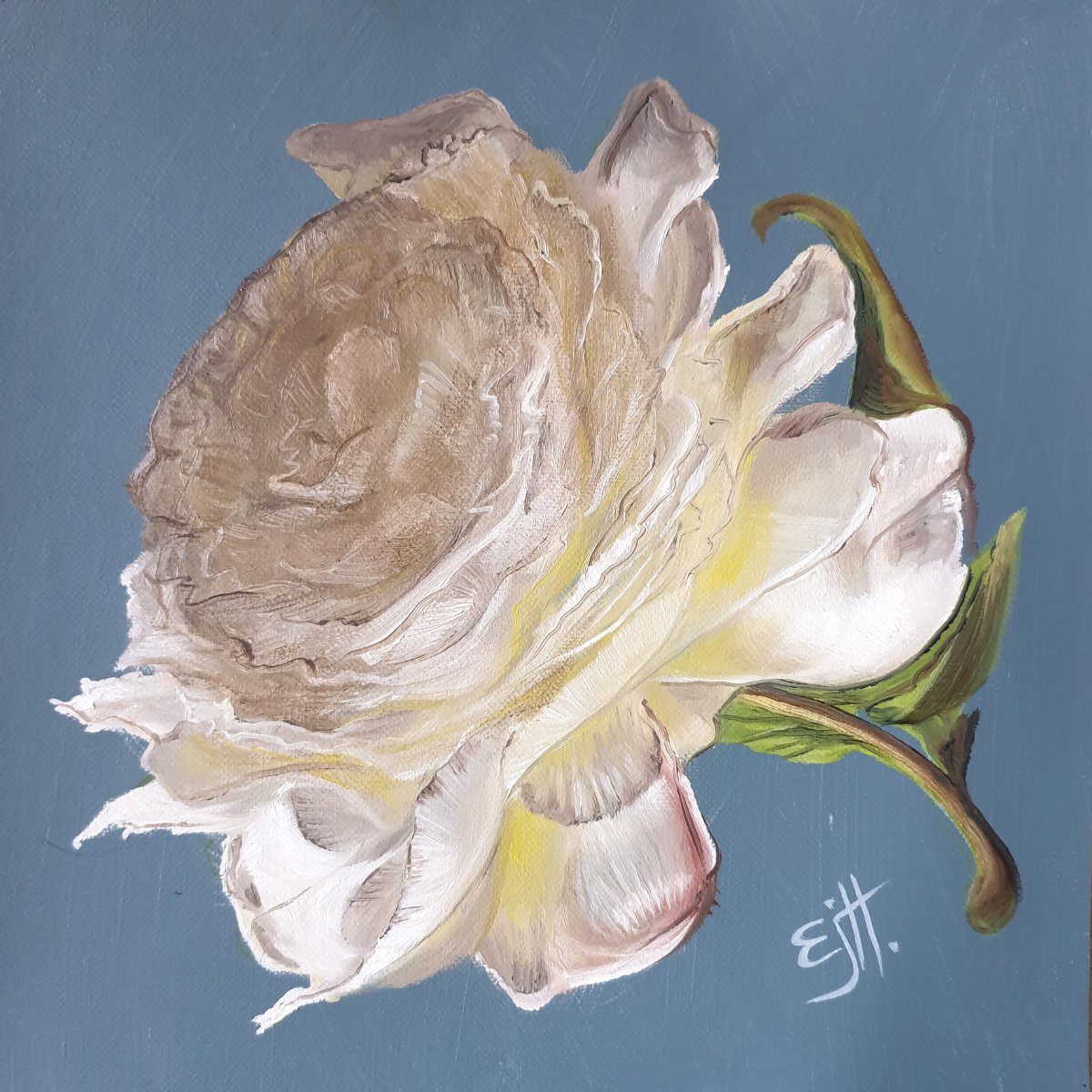 Photorealistic Botanical Oil Painting By Ellisa Hague, 11 X 11, Chantilly, Oil Painting, Original Artwork