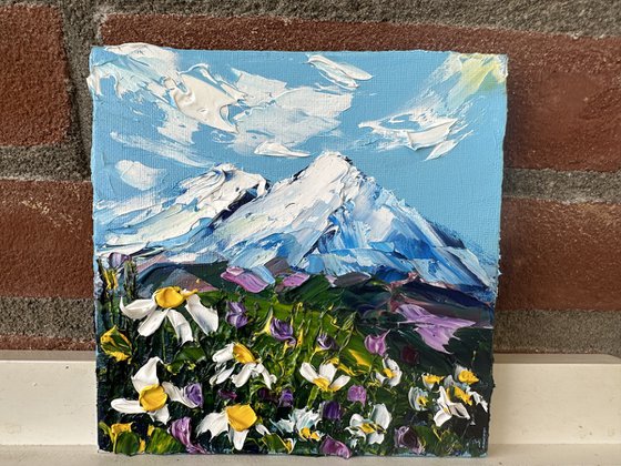 Daisies in the mountains