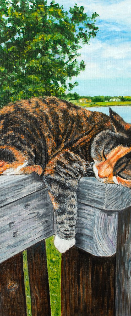 Lazy day by Vera Melnyk (Cat Painting, Gift for Her, Gift for Him, Wall Art) by Vera Melnyk