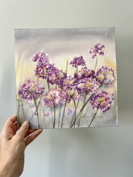 Allium flowers