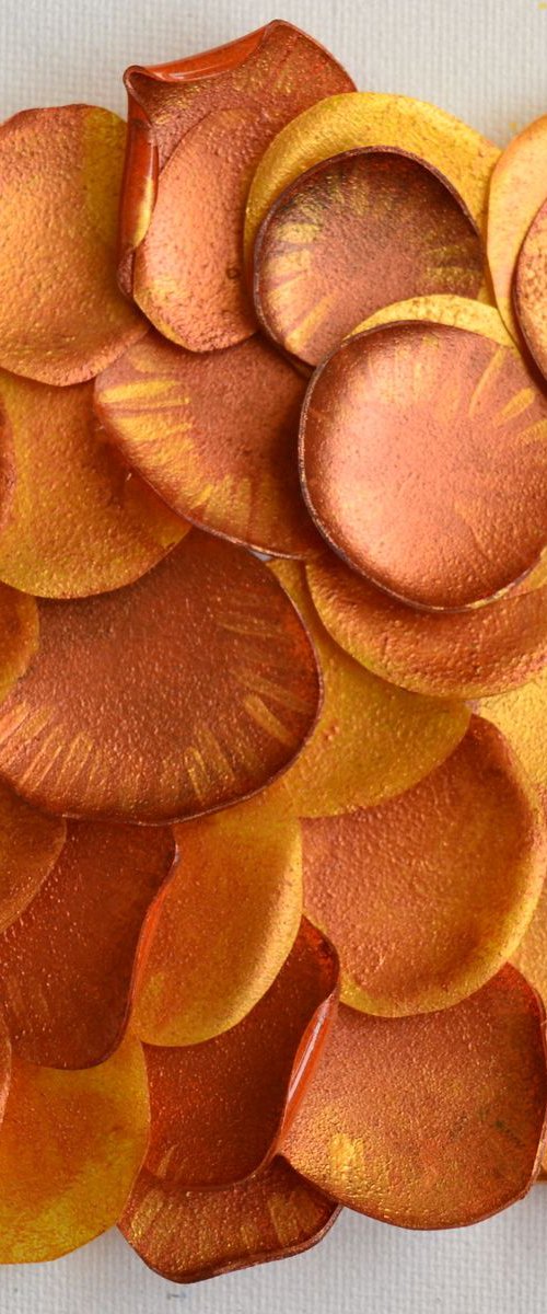 Mushroom corals by Swapna Namboodiri