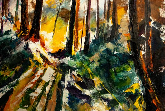 " Trees in the sun " Autumn landscape