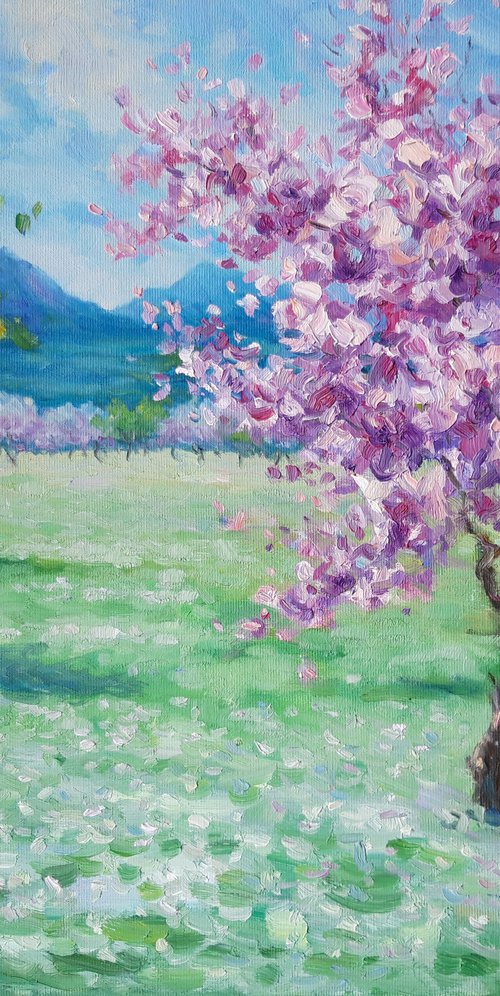 Spring landscape in the valley by Irena Heinz