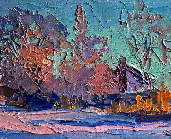 Pink Morning in Winter