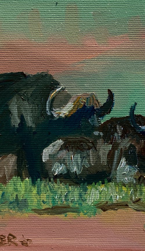 Water Buffalo by Ryan  Louder