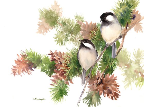 Chickadees and Pine