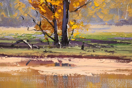 Autumn River Landscape