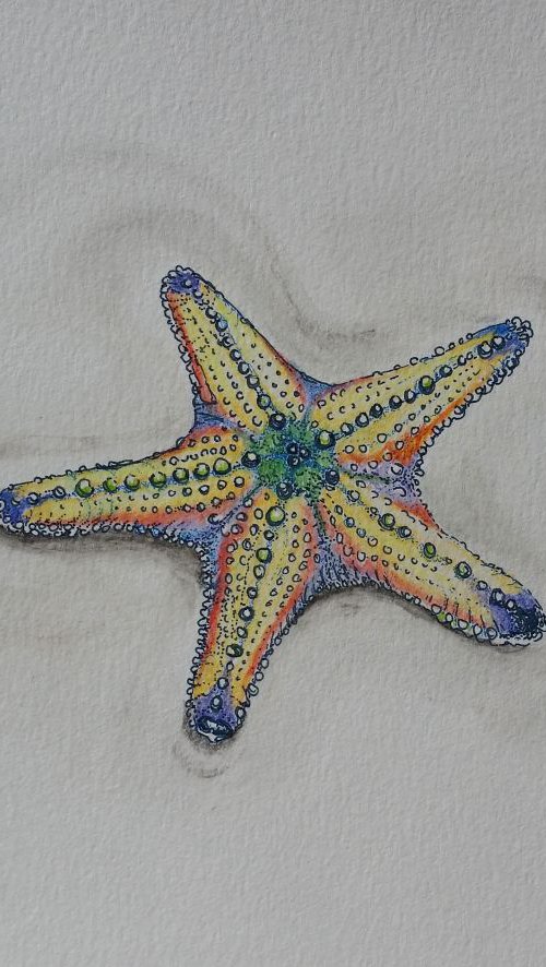 Starfish by Katrina Case