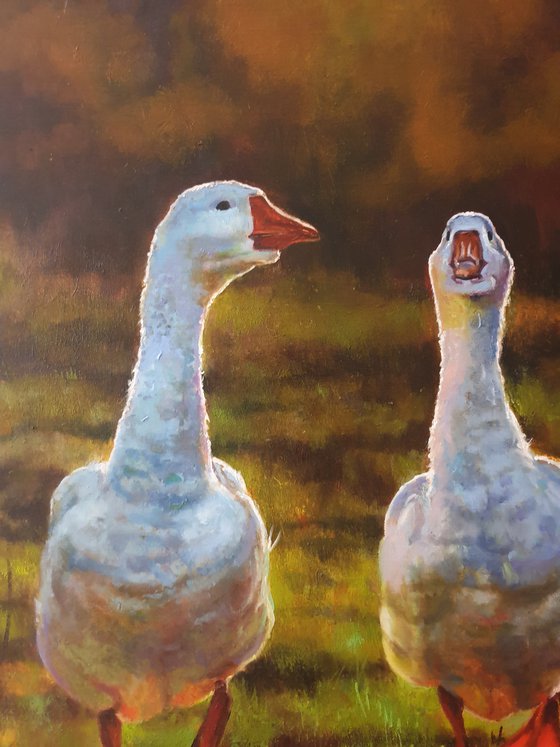 "Two cheerful geese"