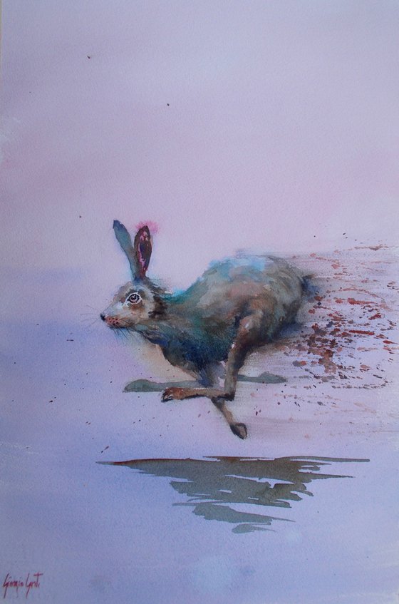 hare