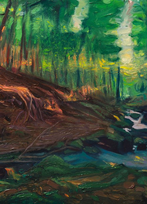 Wild Places V - Twilight in the forest II by Wojciech Pater