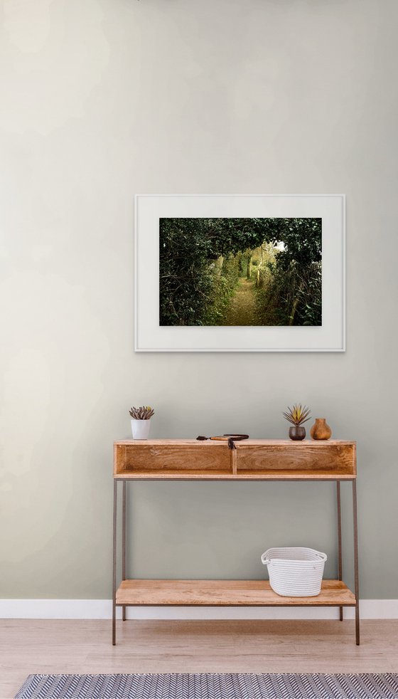 The Path to Hawkhurst