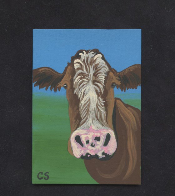 ACEO ATC Original Miniature Painting Brown White Cow Farmyard Art-Carla Smale