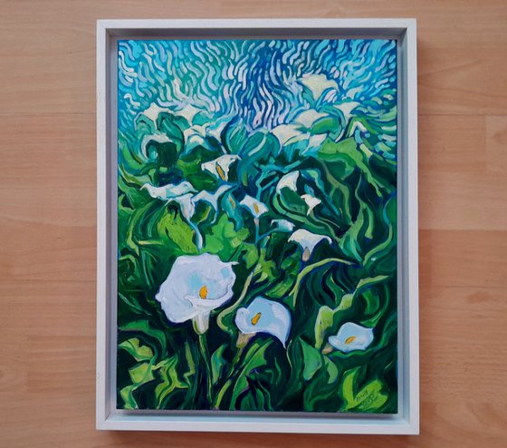 Pure White Arum Lilies