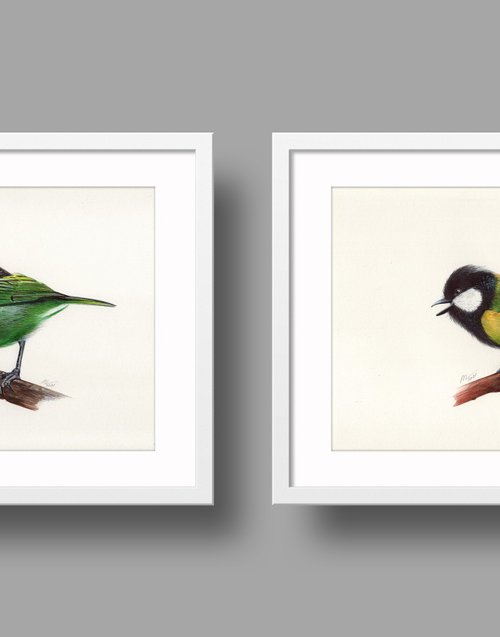 Birds Collection VII by Daria Maier