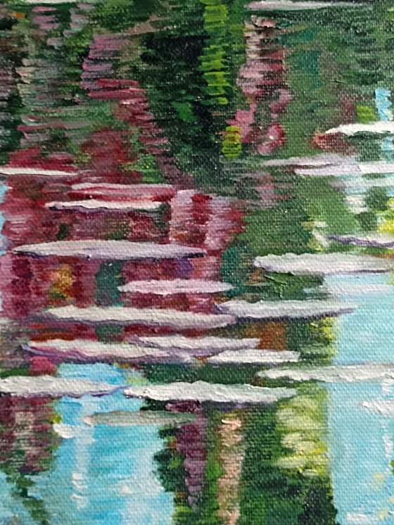 Waterlilies and reflections