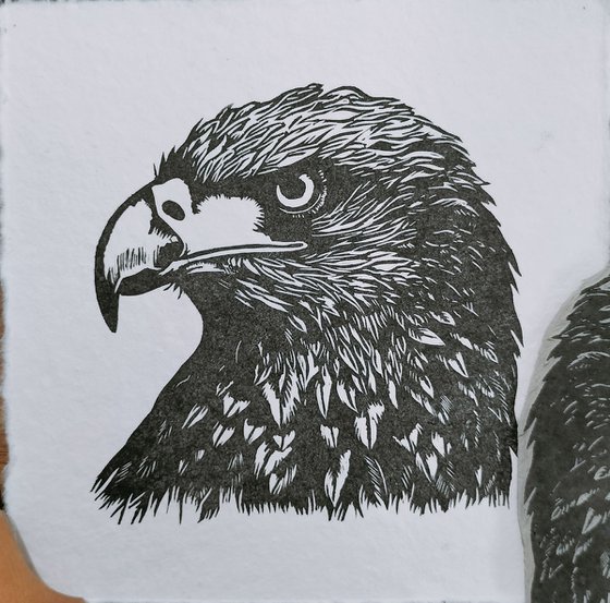 Eagle Small Print