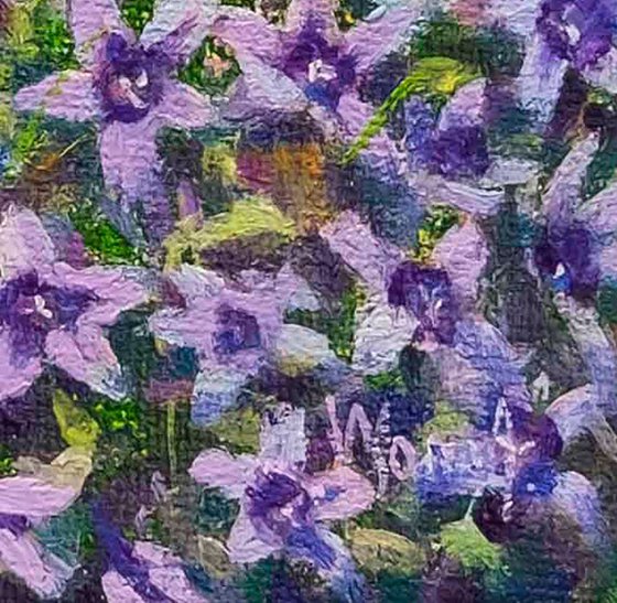 Summer Bellflowers