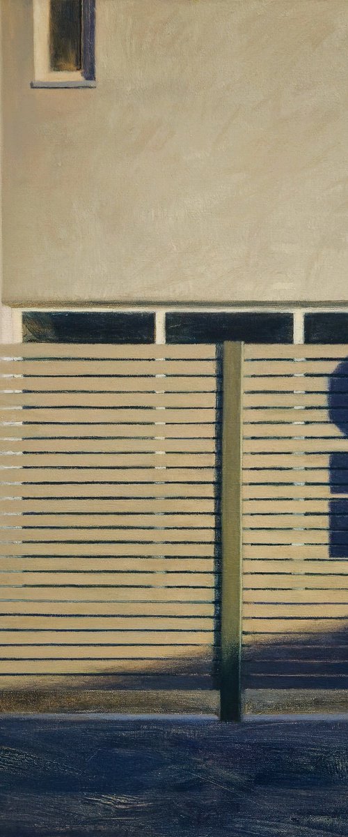 Shadow of a STOP Sign by Eliza Kołodziej