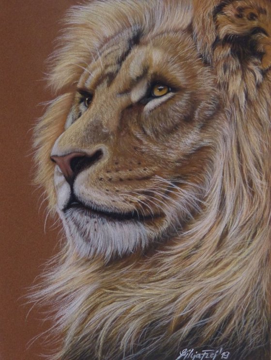 Lion - pastel drawing