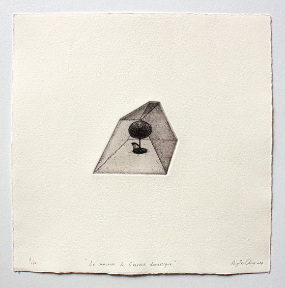 THE MEMORY OF DOMESTIC SPACE