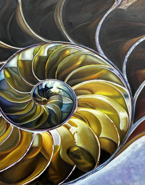 NAUTILUS POMPILIUS by IrinaGoldenfish