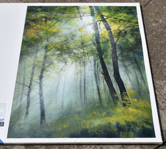 " Sun beams in the foggy  forest "