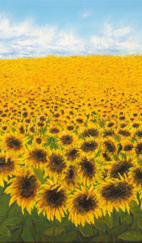 Sunflowers field by Ludmilla Ukrow